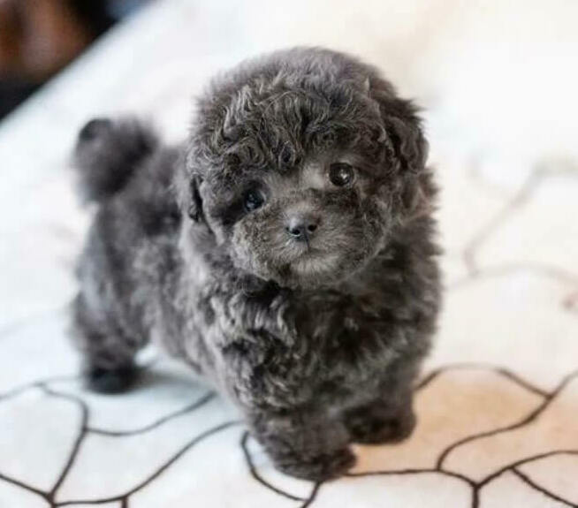 <span style="font-weight: bold;">Solana </span>